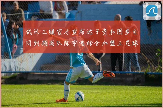 武汉三镇官方宣布沈子贵和图多合同到期离队陈宇浩转会加盟玉昆球队