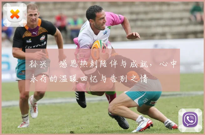 孙兴慜感恩热刺陪伴与成就，心中永存的温暖回忆与告别之情